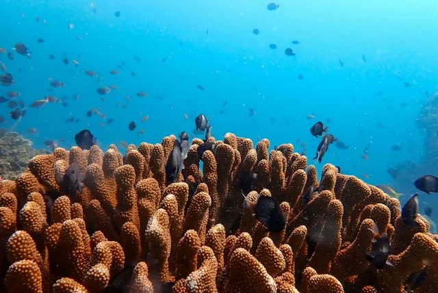 Assistierende KI Automatisierung im Arbeitsalltag